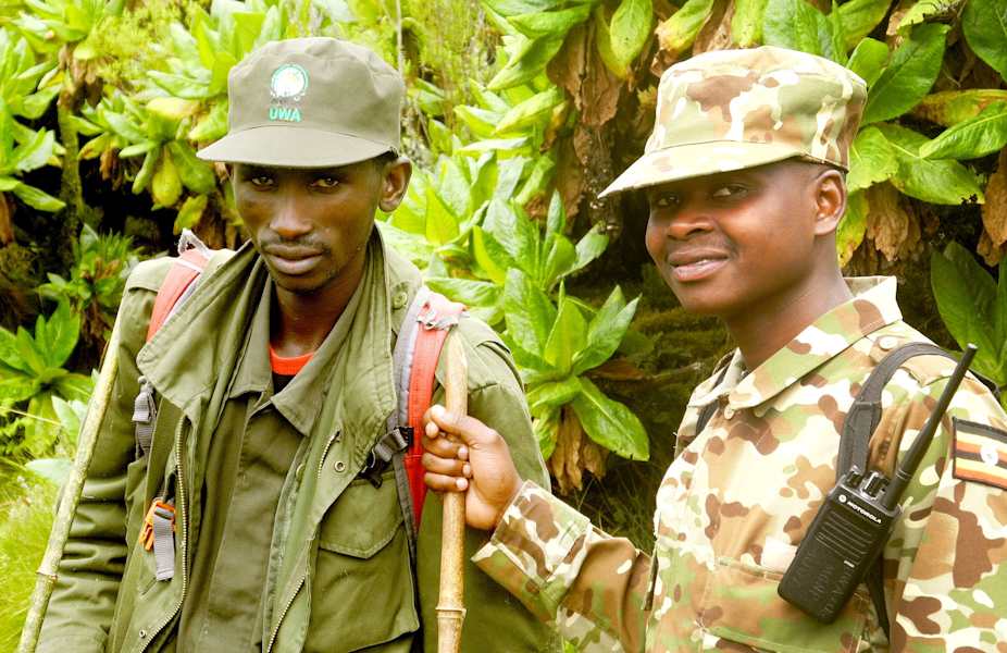 Virungas Berggorillas Reise