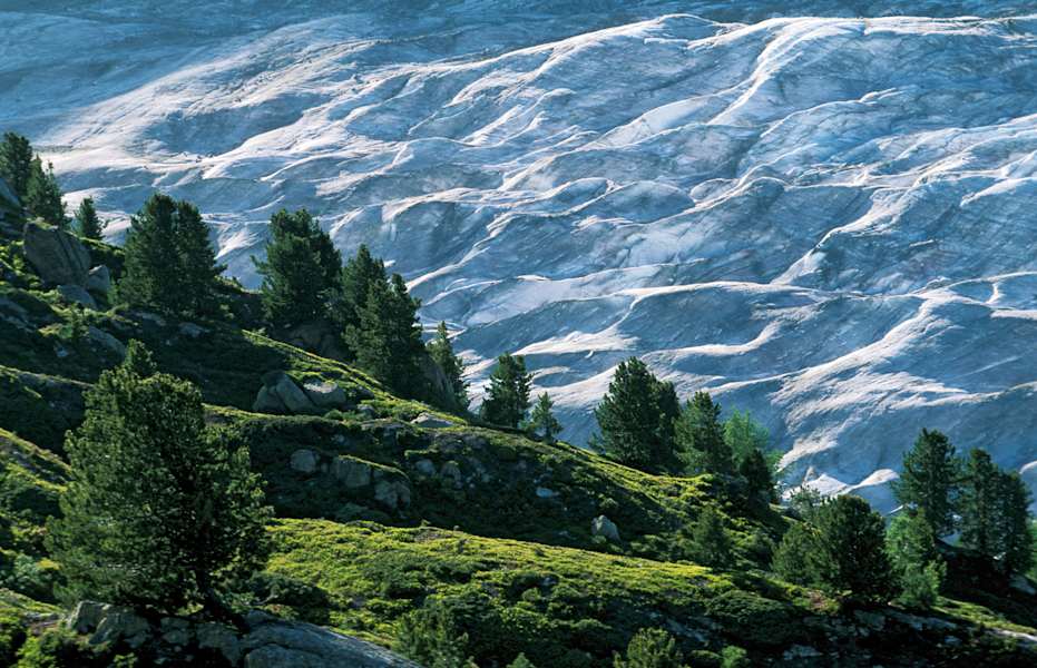 Der Grosse Aletschgletscher