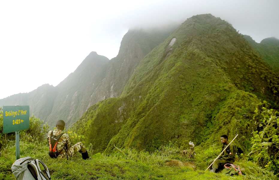 Virungas Berggorillas Reise