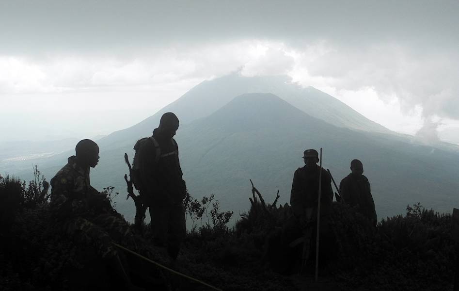 Virungas Berggorillas Reise