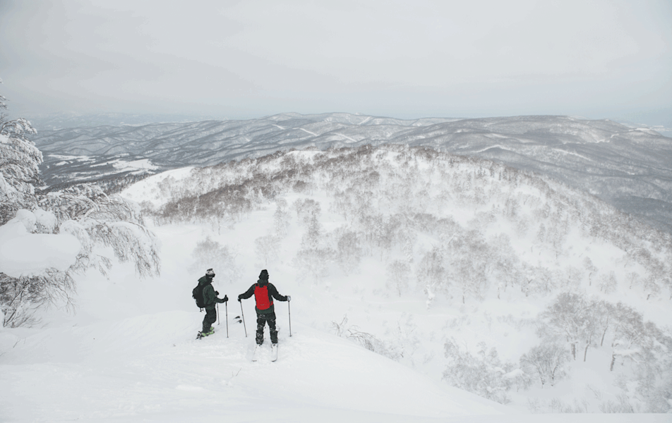 Josh Absenger und Daniel Maurer checken ihre Line, bevor sie in den meterhohen Powder von Kiroro eintauchen