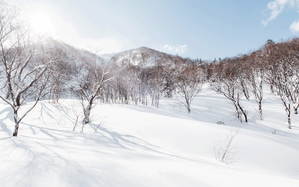 Japan: Wo der Schnee nie zu fallen aufhört