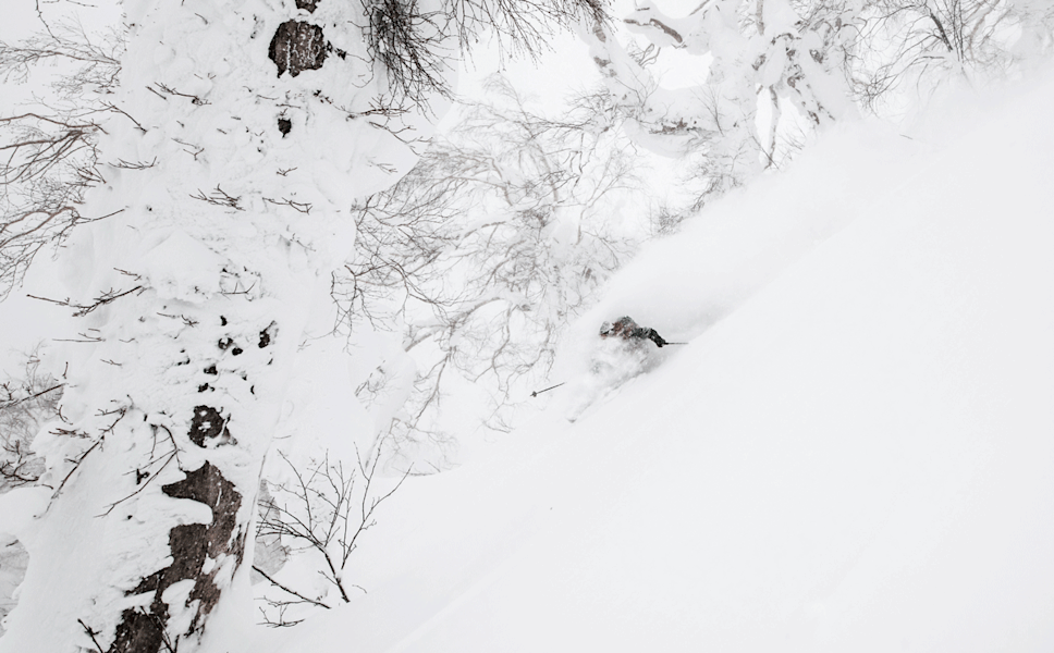 Josh verschwindet völlig im Whiteroom des japanischen Powder