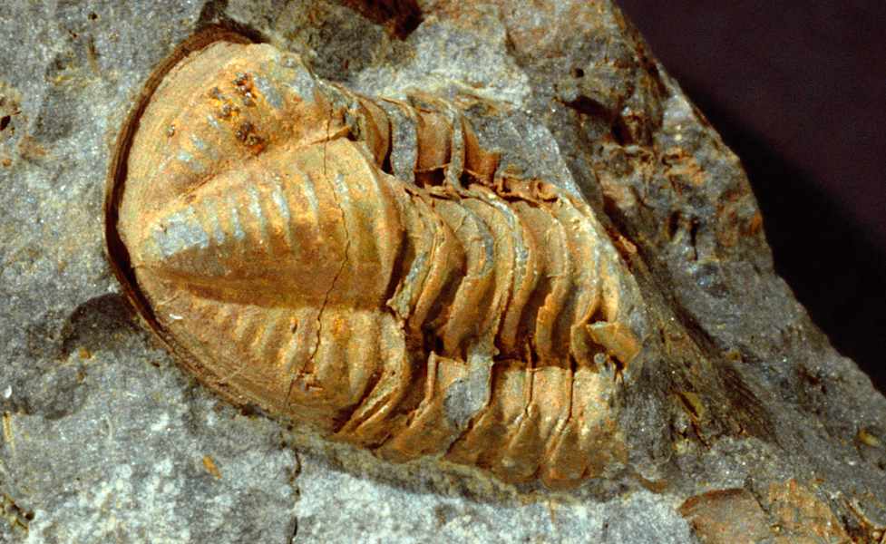 Bergsteigerdorf Mauthen