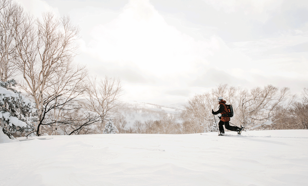 Oben angekommen gibt sich die Sonne kurz zu erkennen