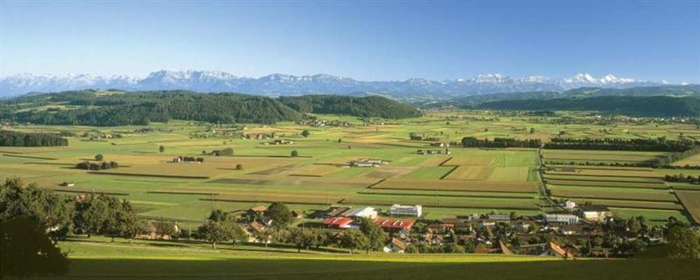 Blick vom Dorf Wauwil auf das Wauwilermoos