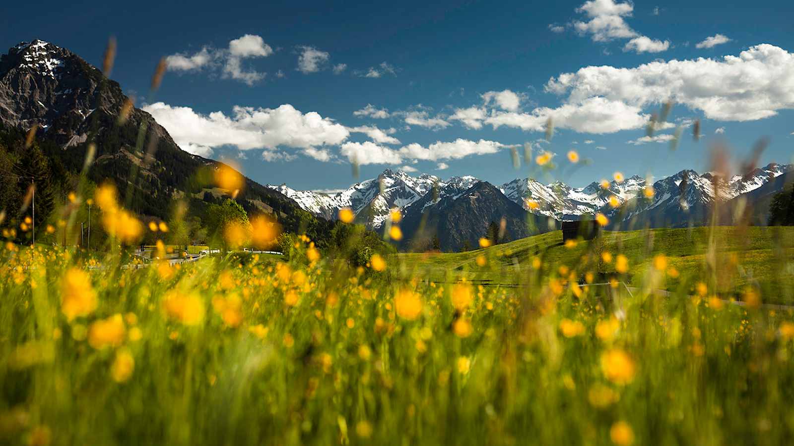 Allgäuer Berge