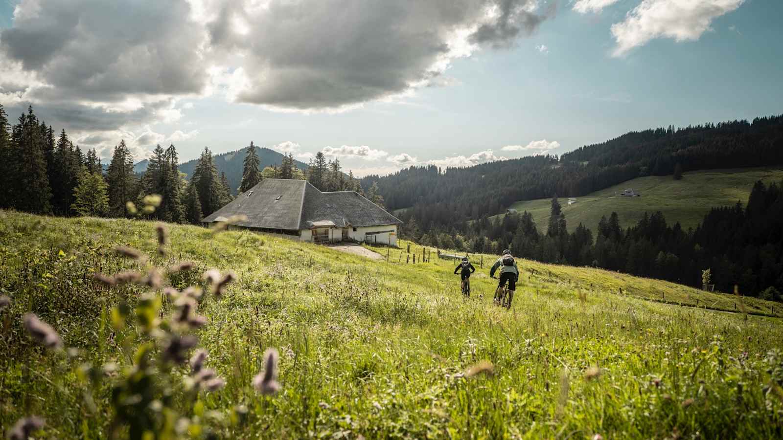 Mountainbiken bei Les Paccots