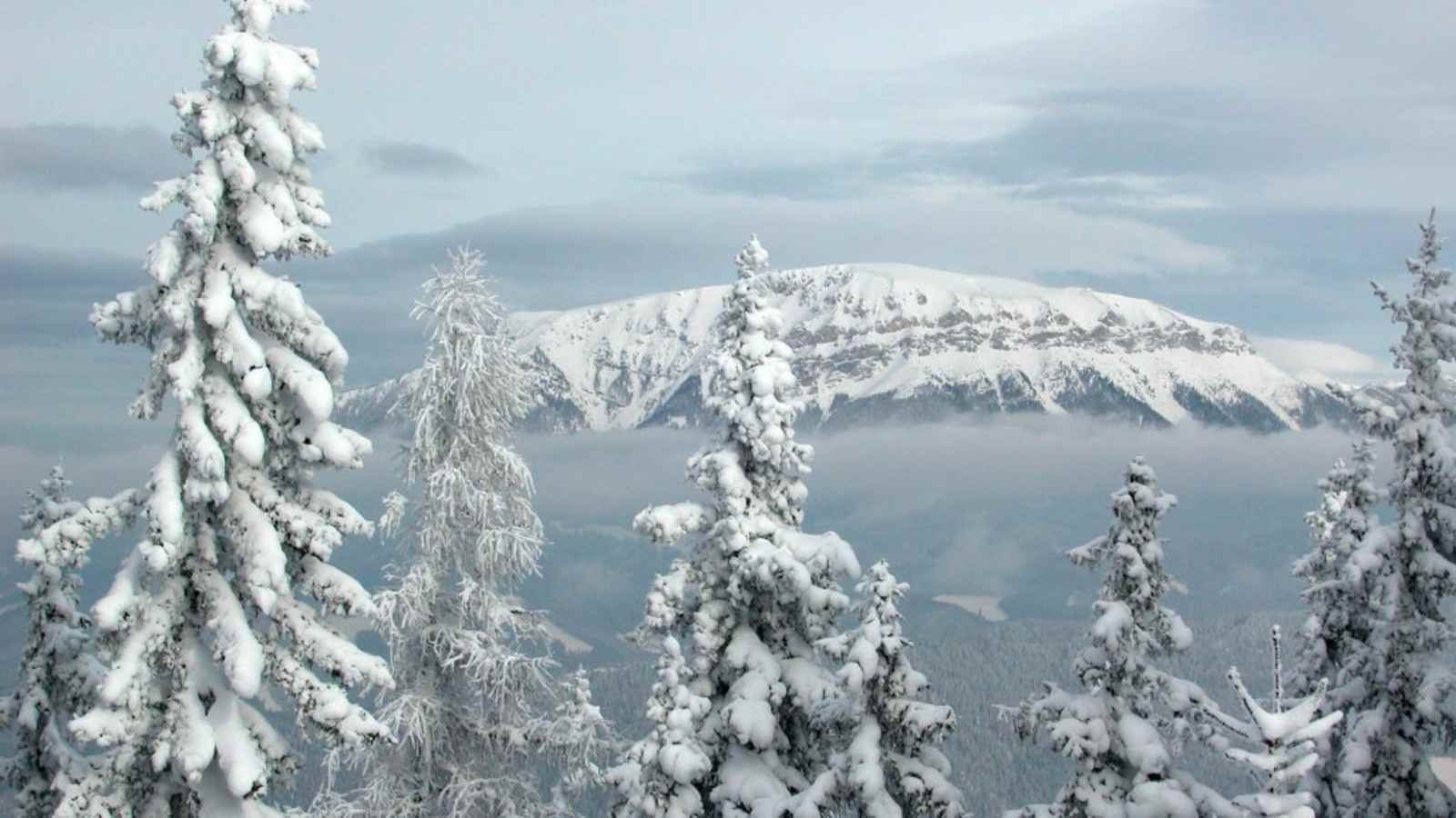 Aufstieg Kreuzschober/Mürzsteger Alpen