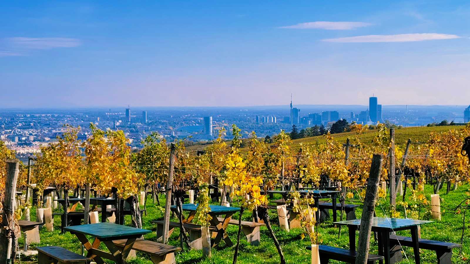 Das vivo V40 fängt die herbstlichen Farben und das Panorama perfekt ein.