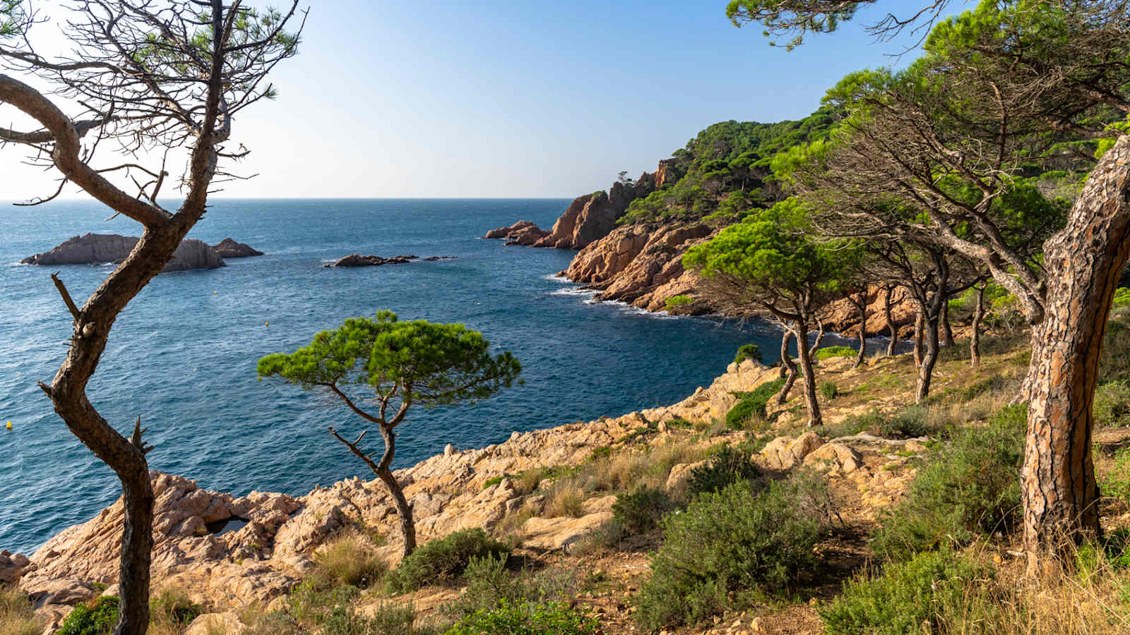 Wandern direkt an der Küste – ein häufiger Genuss auf dem Camí de Ronda