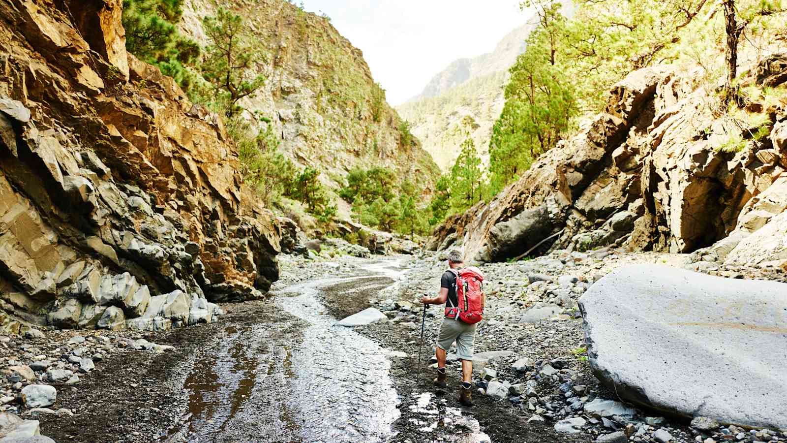 In der Schlucht des Bittermandelflusses auf La Palma