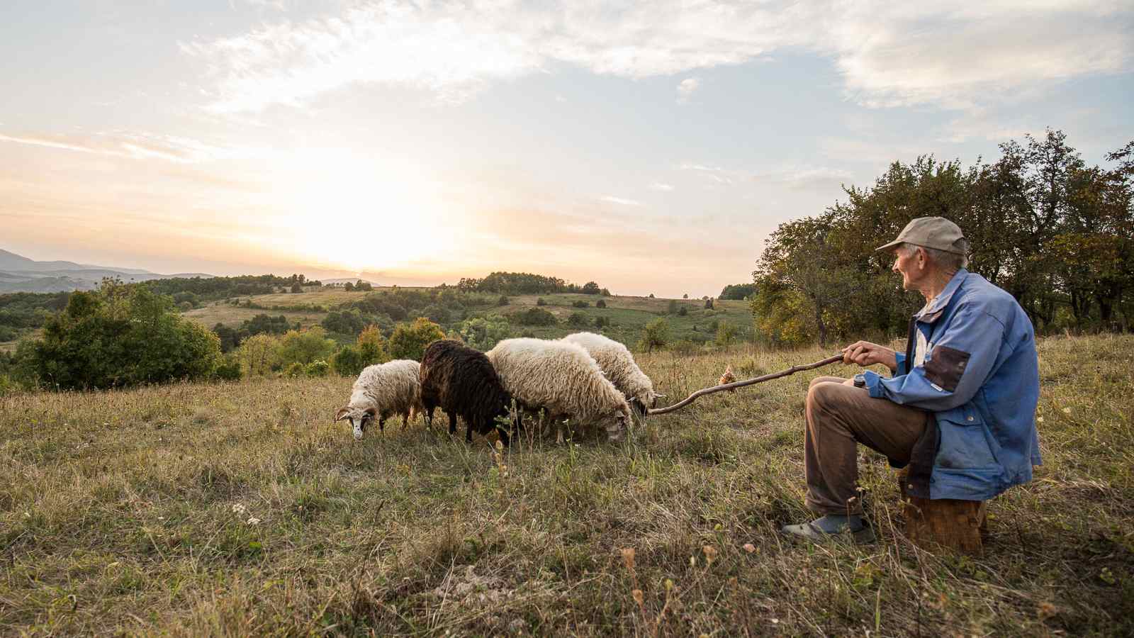 Klettern Banja Luka Schäfer Hirte