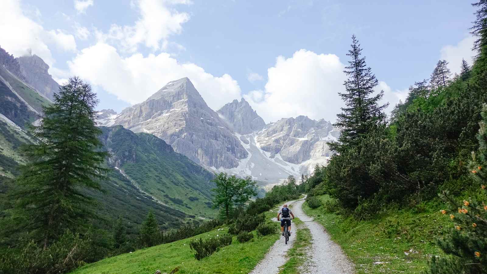 Am Forstweg im alpinen Gelände - stört der Mountainbiker das Wild?