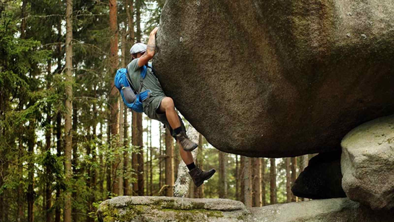 Hoch hinaus geht's am „Hängenden Stein“ im Heidenreichsteiner Moor.