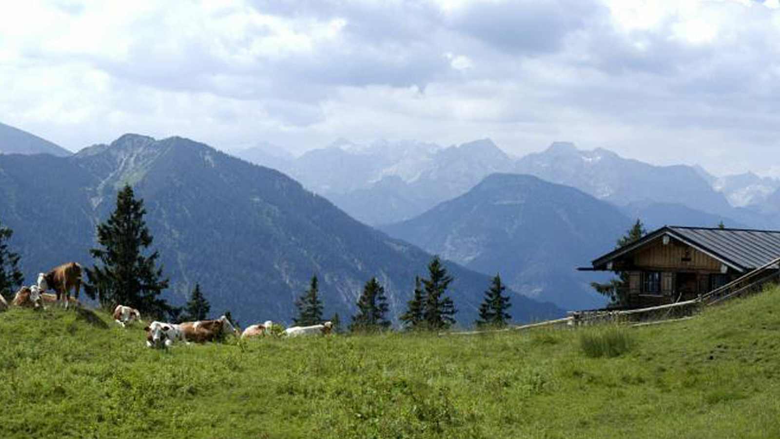 Sonnenaufgangstour: Auf die Staffelalm Haupt-Reiter