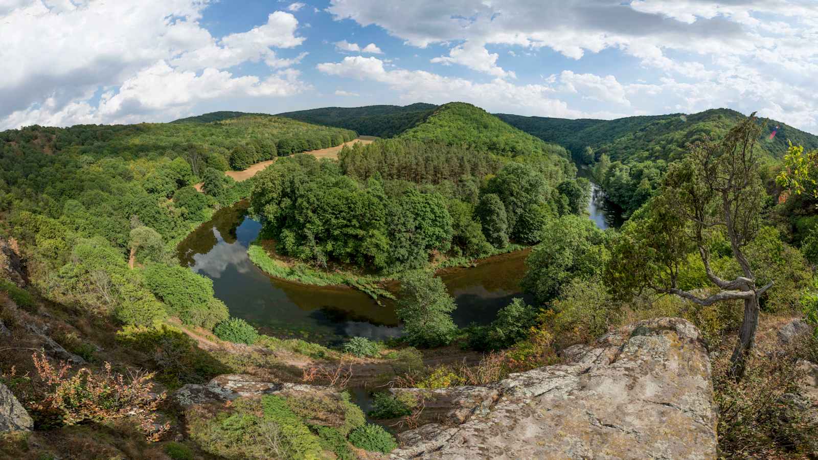 Blick vom Überstieg auf die Thayaschleife.