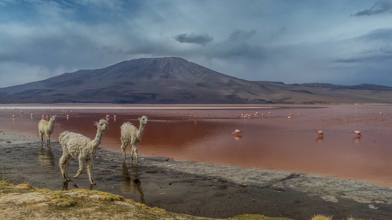 Salar de Uyuni Bolivien