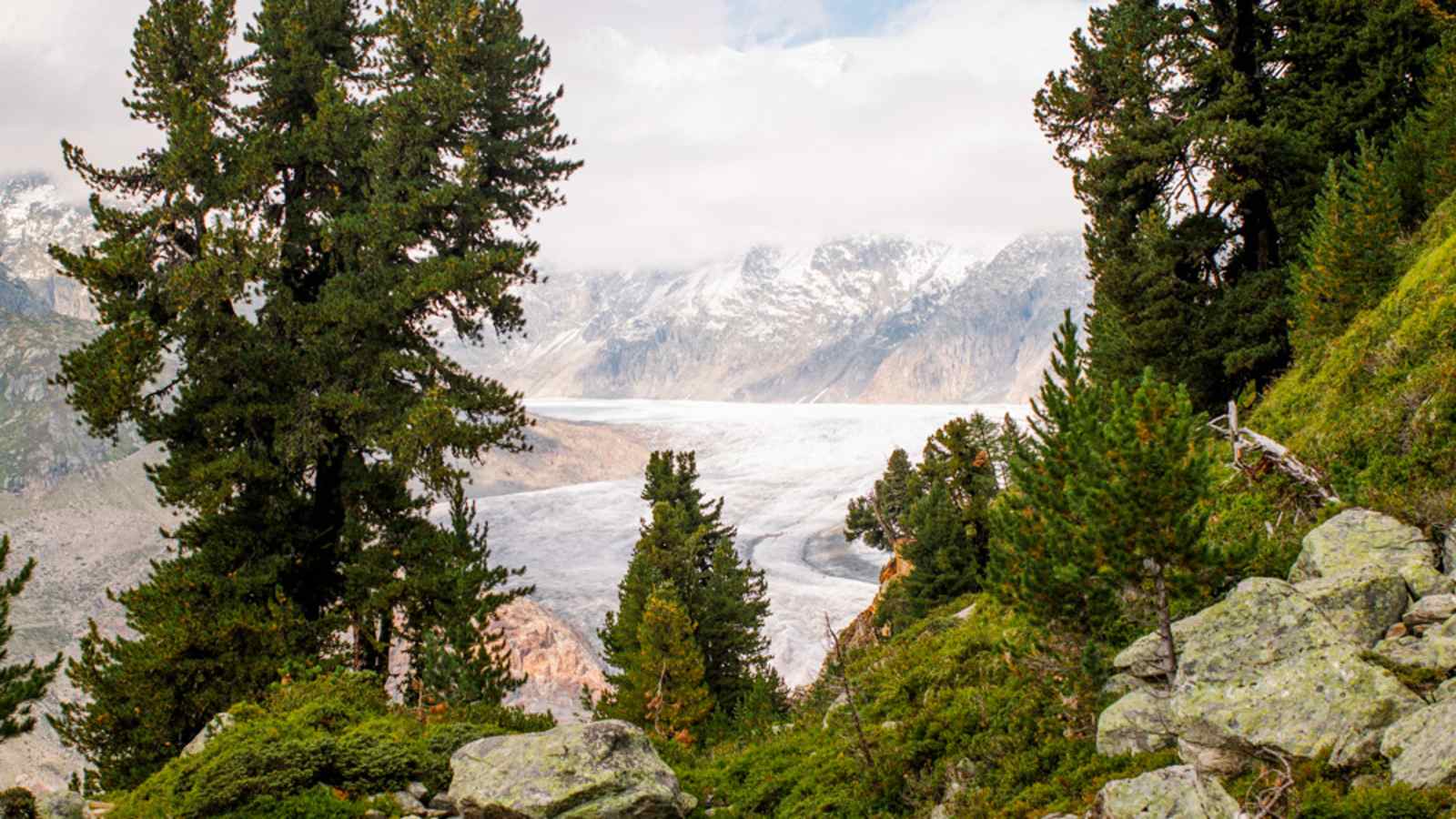 Grosser Aletschgletscher