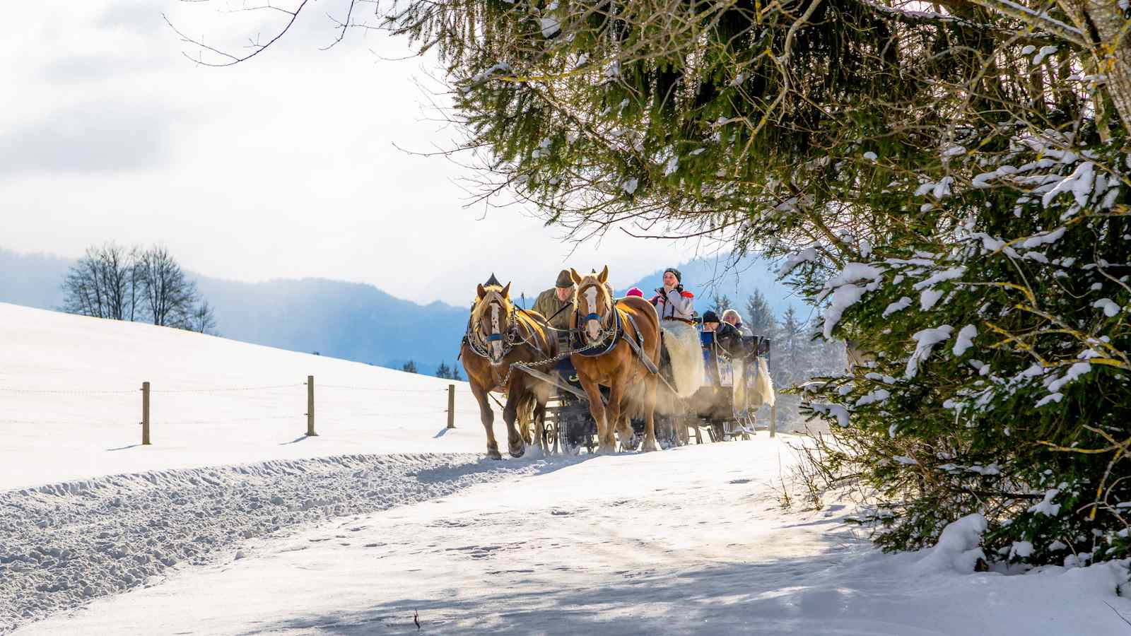 Winter im Allgäu