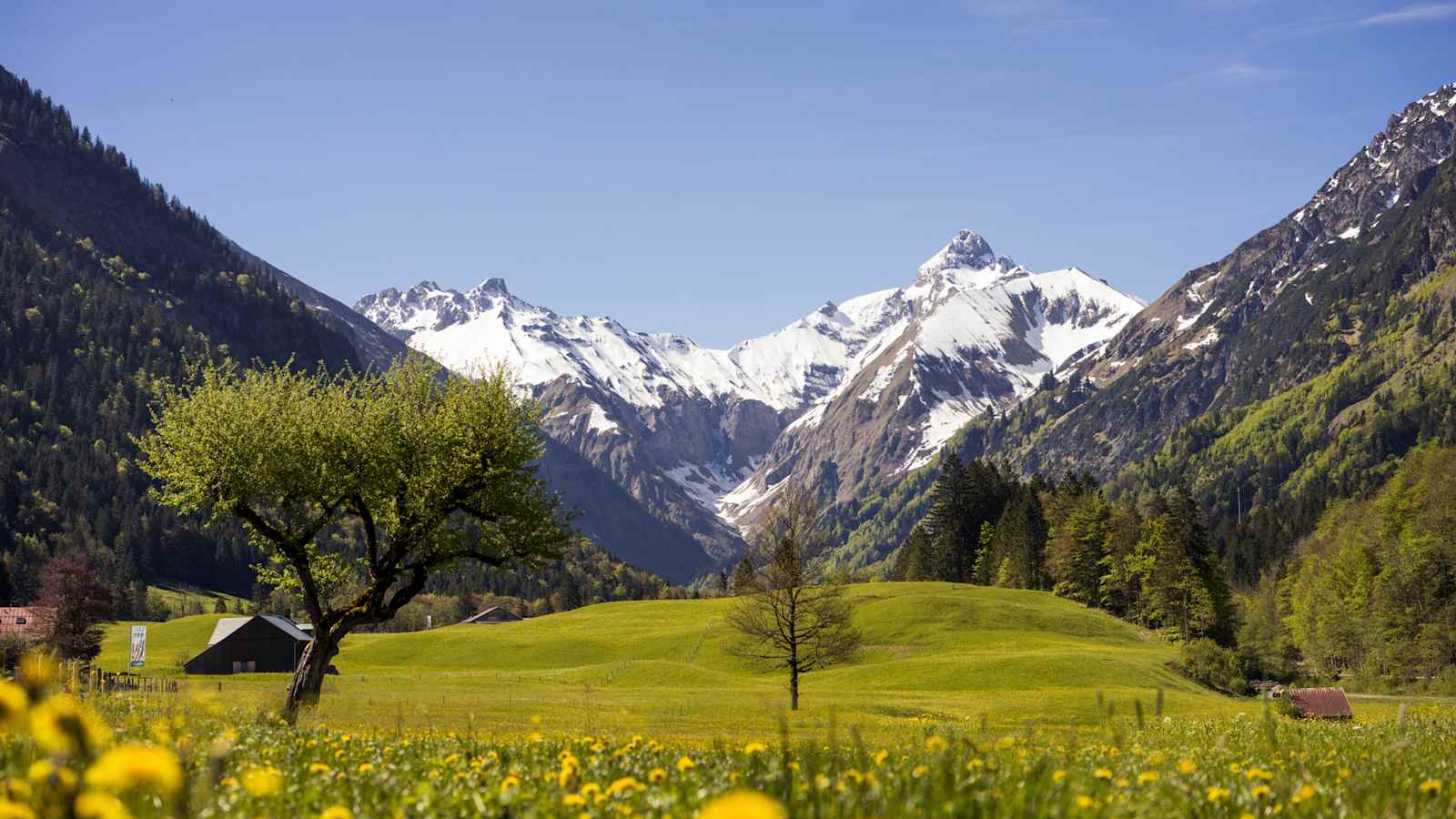 Fotostrecke Allgäu