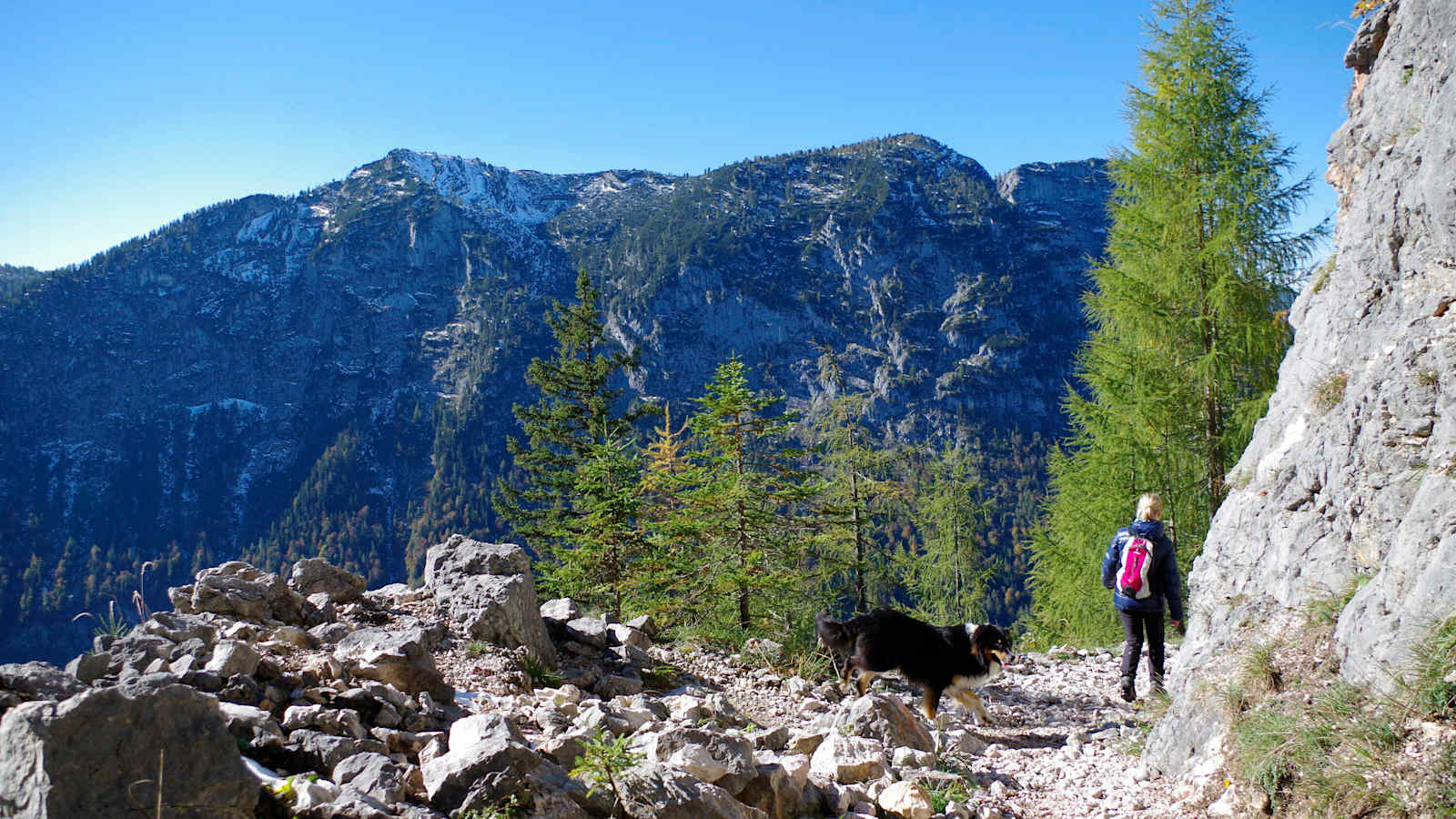 Wandern mit Hund: Almerlebnisweg Ramsau