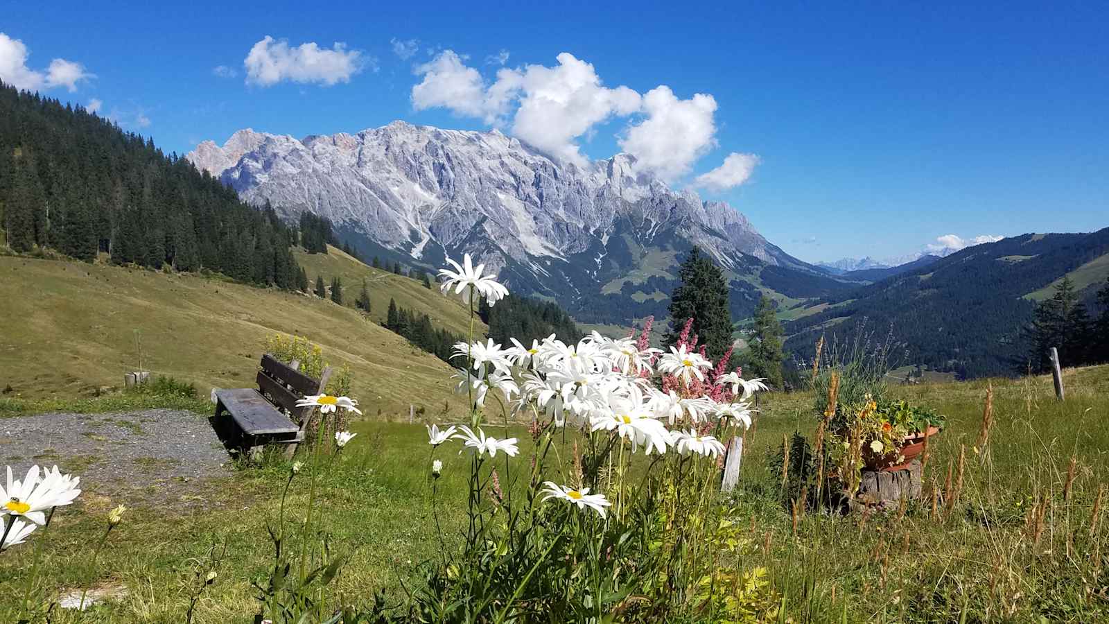 Wanderer am Weg nach Dienten