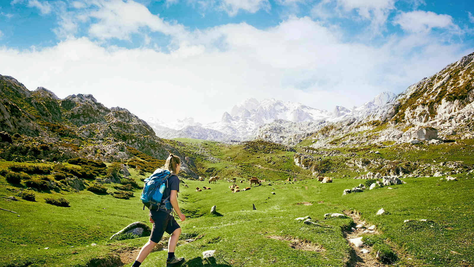 Wandern Nordspanien Picos de Europa