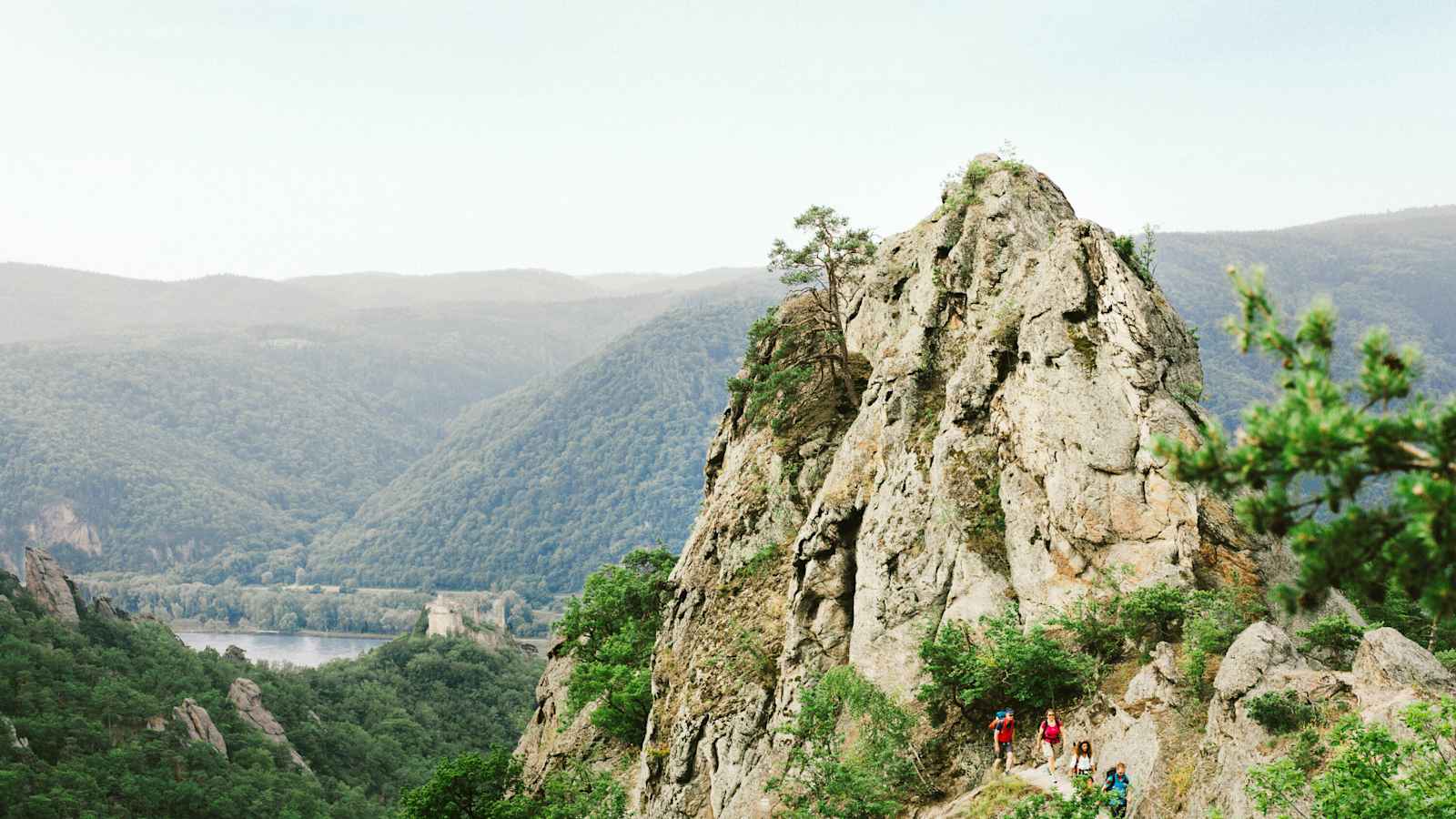 Wachau Welterbesteig