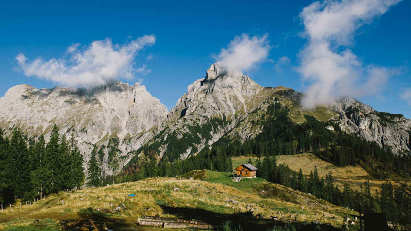 Bergwelten-Geheimtipp: Die Treffneralm wird ab Juli zum Heidelbeerparadies. Im Hintergrund: die Gipfel von Sparafeld (links) und Reichenstein.