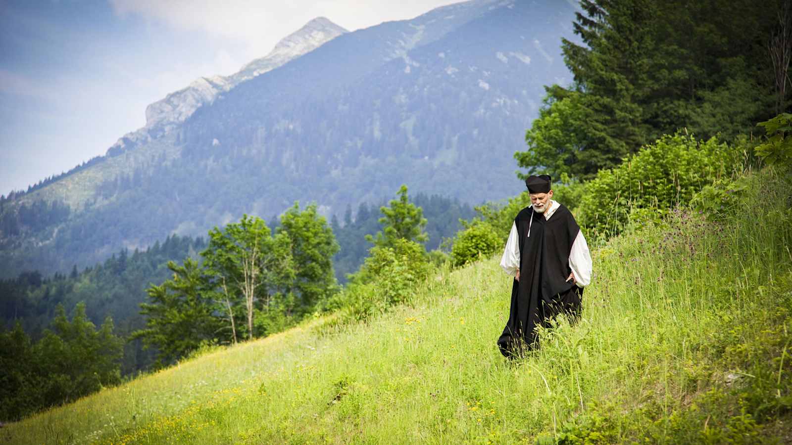 Heilpflanzen am Ötscher