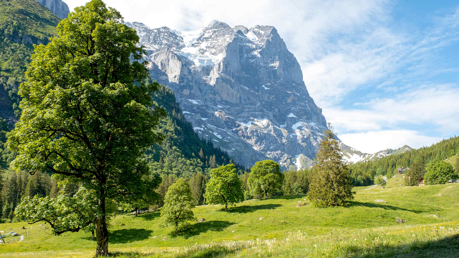 Ausblick auf die traumhafte Berglandschaft.