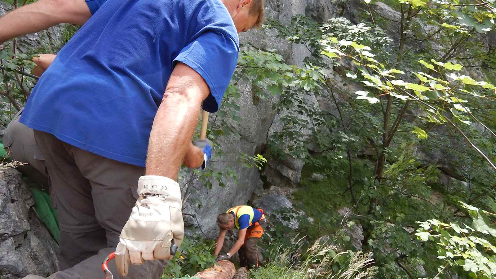 Der Alpenverein Edelweiss setzt jährlich viele unterschiedliche Bergwaldprojekte um.