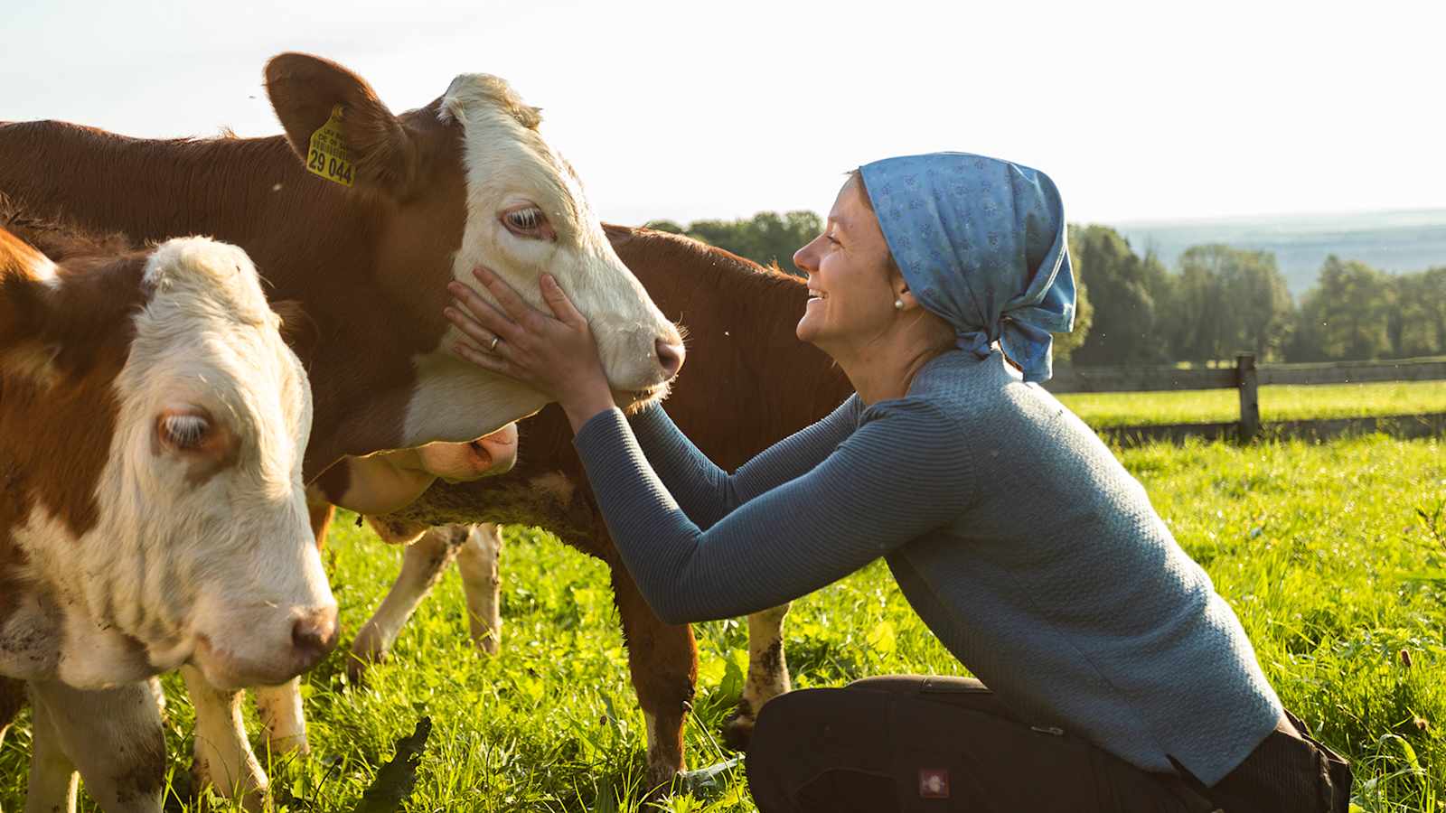 Die Landwirte setzen auf die traditionelle Grundfütterung der Kühe mit Gras.