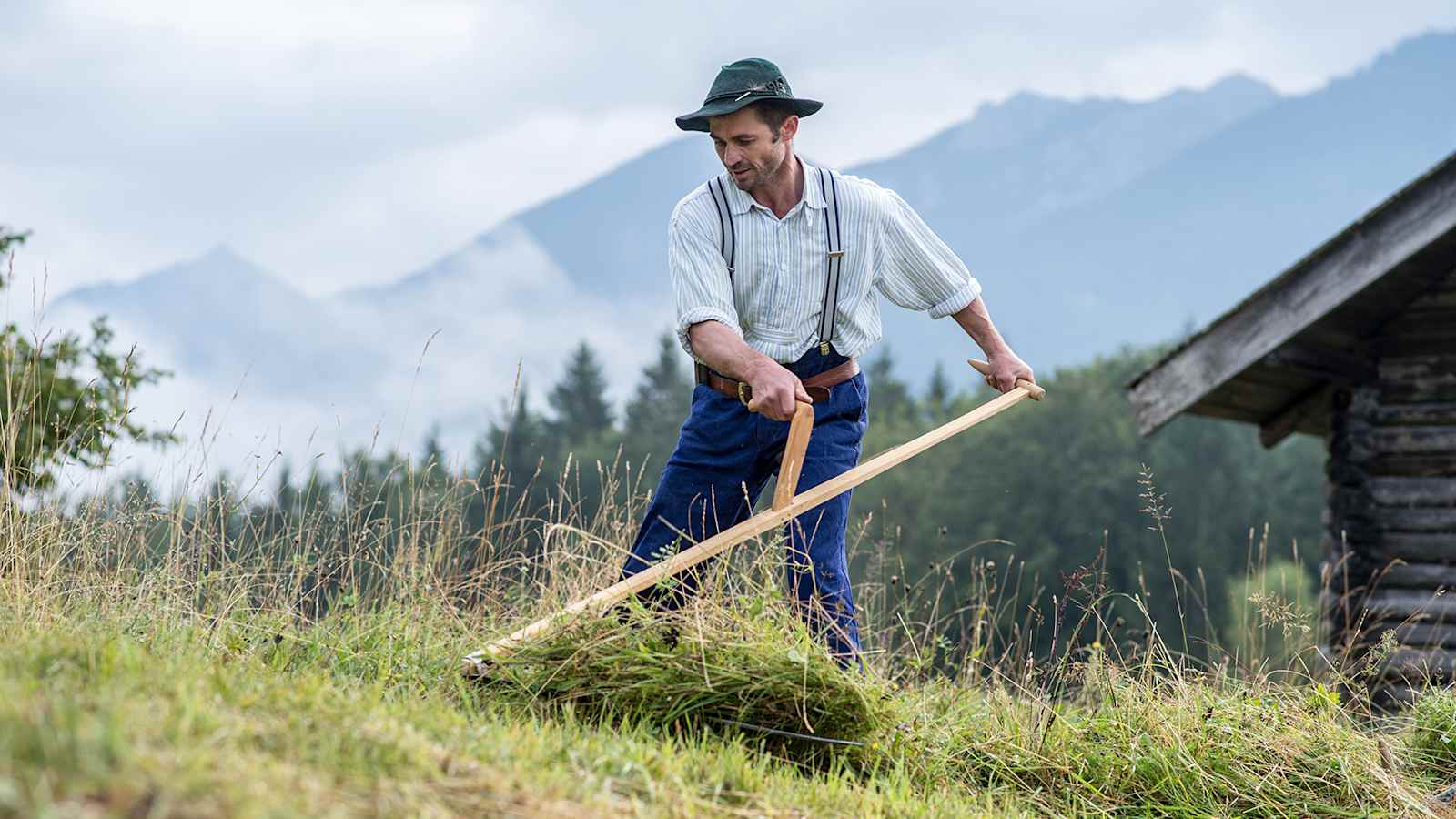 Im 10-Jahres-Vergleich zahlt die Molkerei Berchtesgadener Land den höchsten Milchpreis.