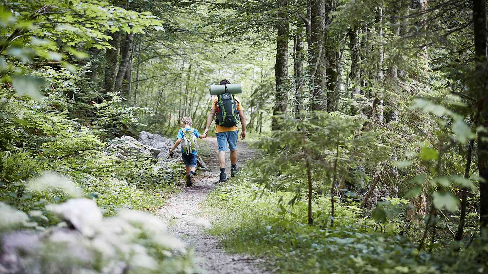 Ob wandern, radfahren oder reiten – die Wege in den Nationalpark Kalkalpen sind vielfältig und jeder kann den wilden Wald auf seine individuelle Art entdecken.