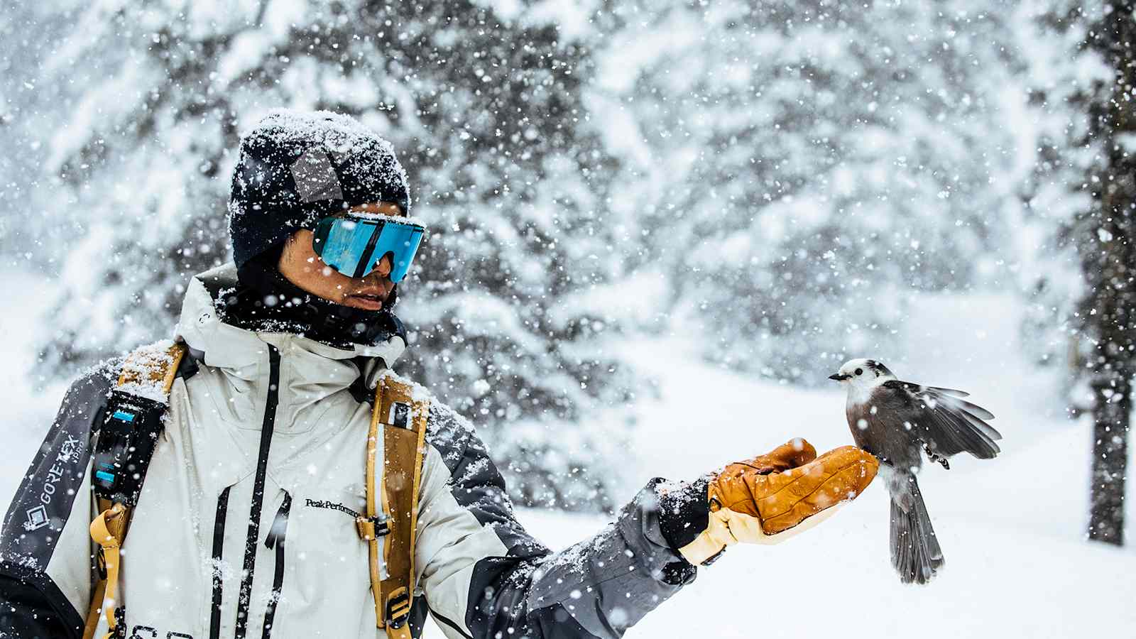 Mit der Devour Glacial Sonnenbrille ist man für Sonne, Wind und Schnee gerüstet.