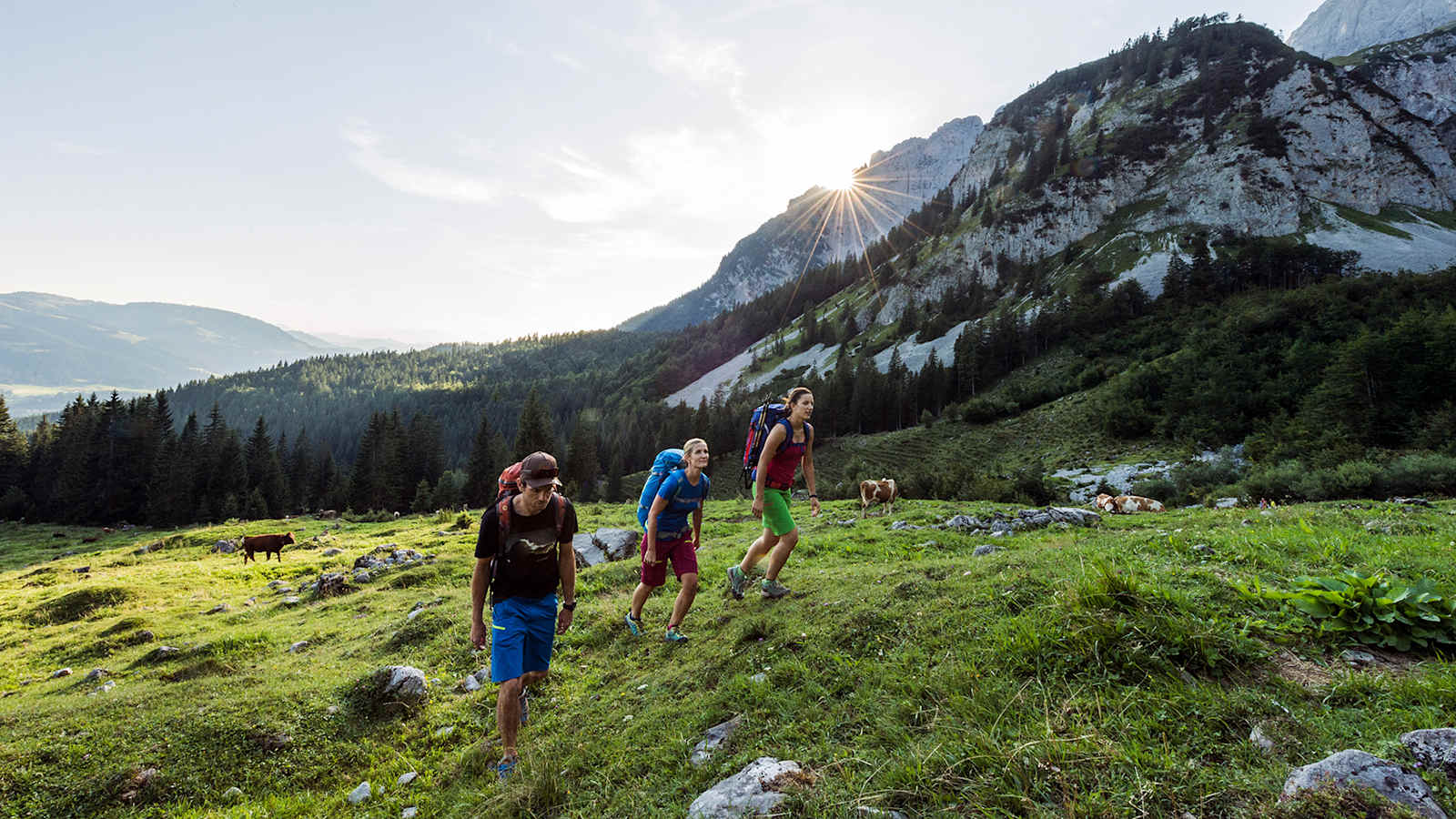 Freiheit genießen und Natur erleben: Weitwandern in der Region Wilder Kaiser ist nicht nur eine Wohltat für den Körper, sondern auch perfekt, um den Kopf freizukriegen. 