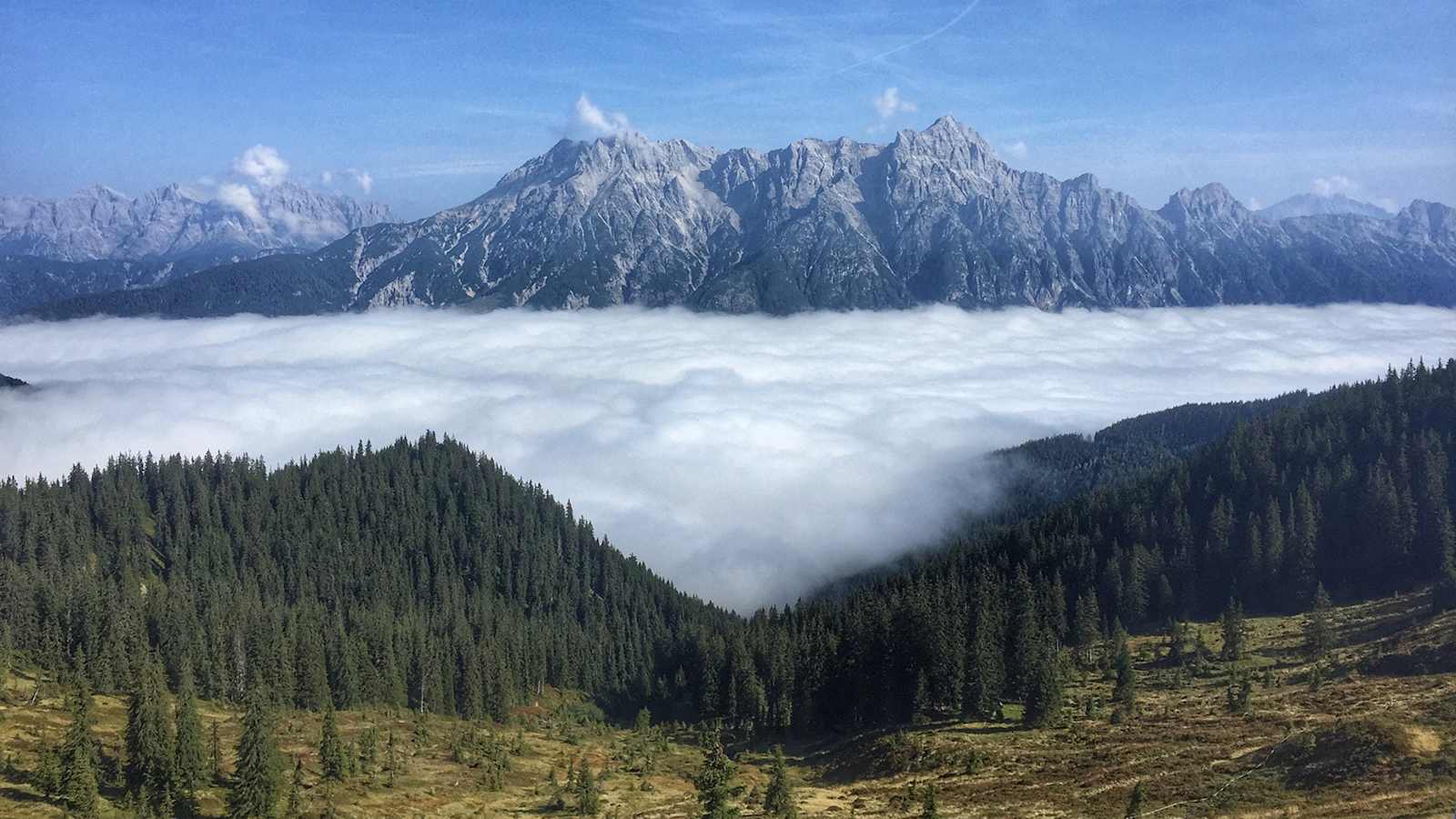 Über den Nebel blicken. – Wer diese Aussicht genießt, hat gut geplant.