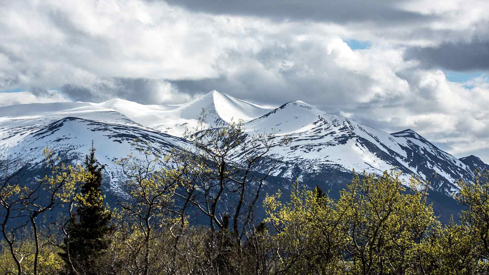 Kanada Atlin Birch Mountain