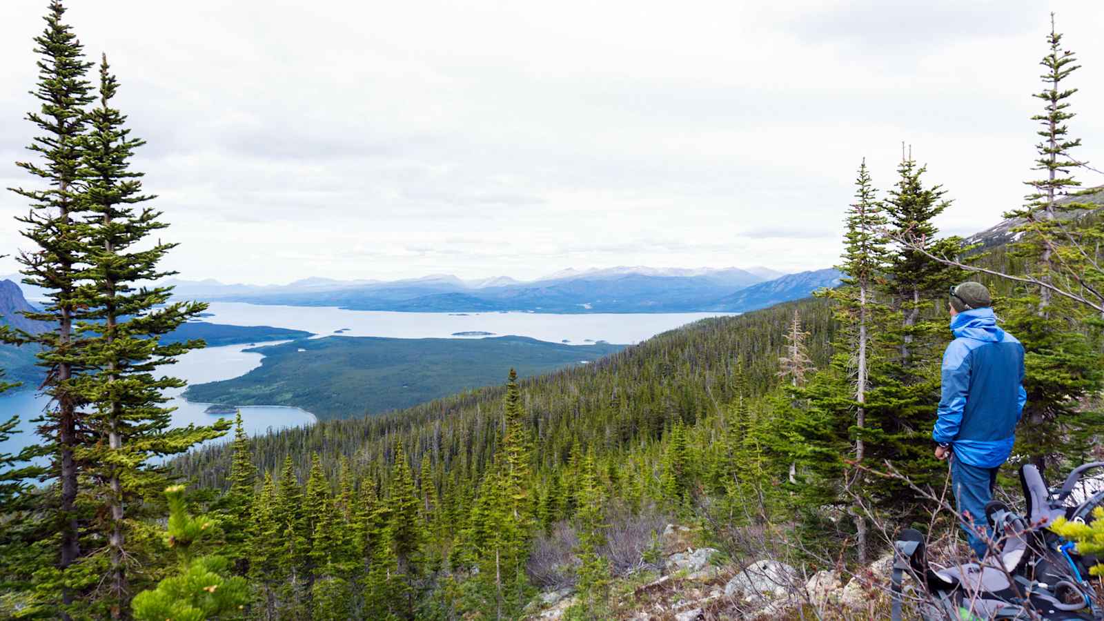 Kanada Atlin Birch Mountain