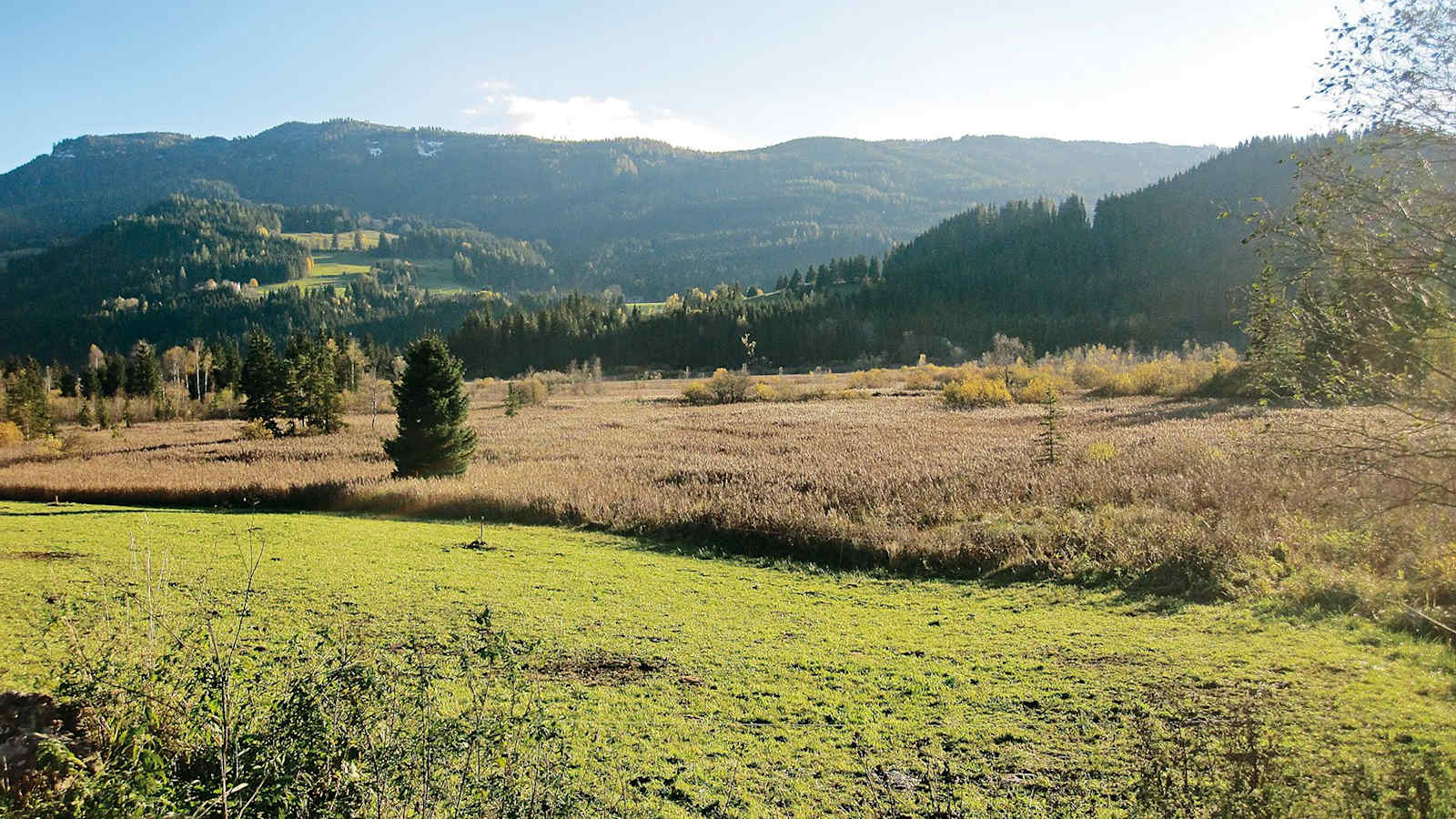 Blick ins Hörfeld-Moor.