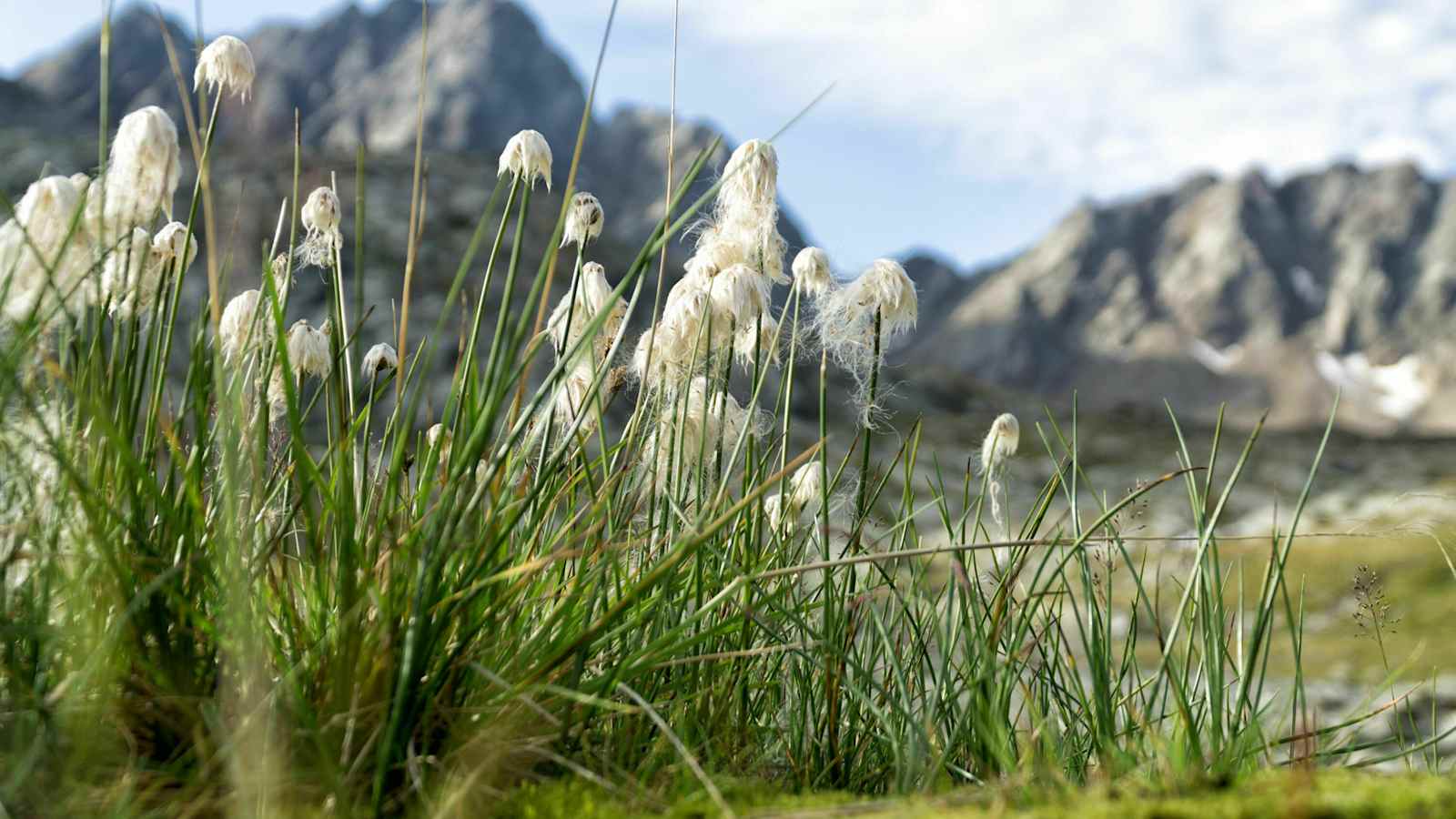 Wildes Gradental im Nationalpark Hohe Tauern