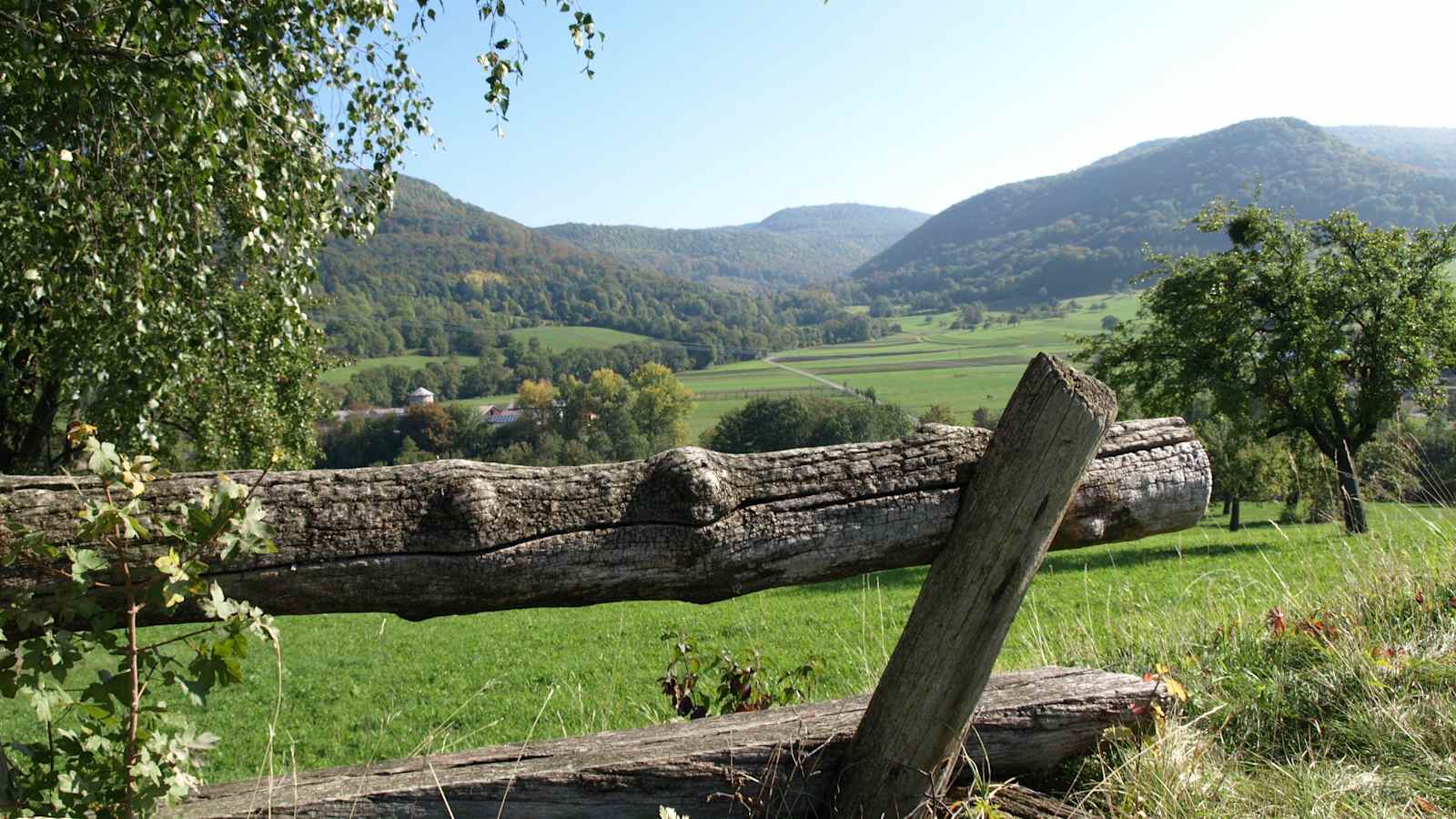 Blick zum Talheimer Albtrauf.