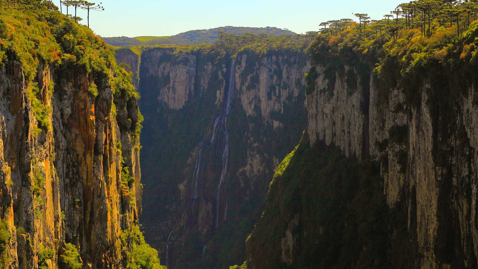 Brasilianisches Bergland