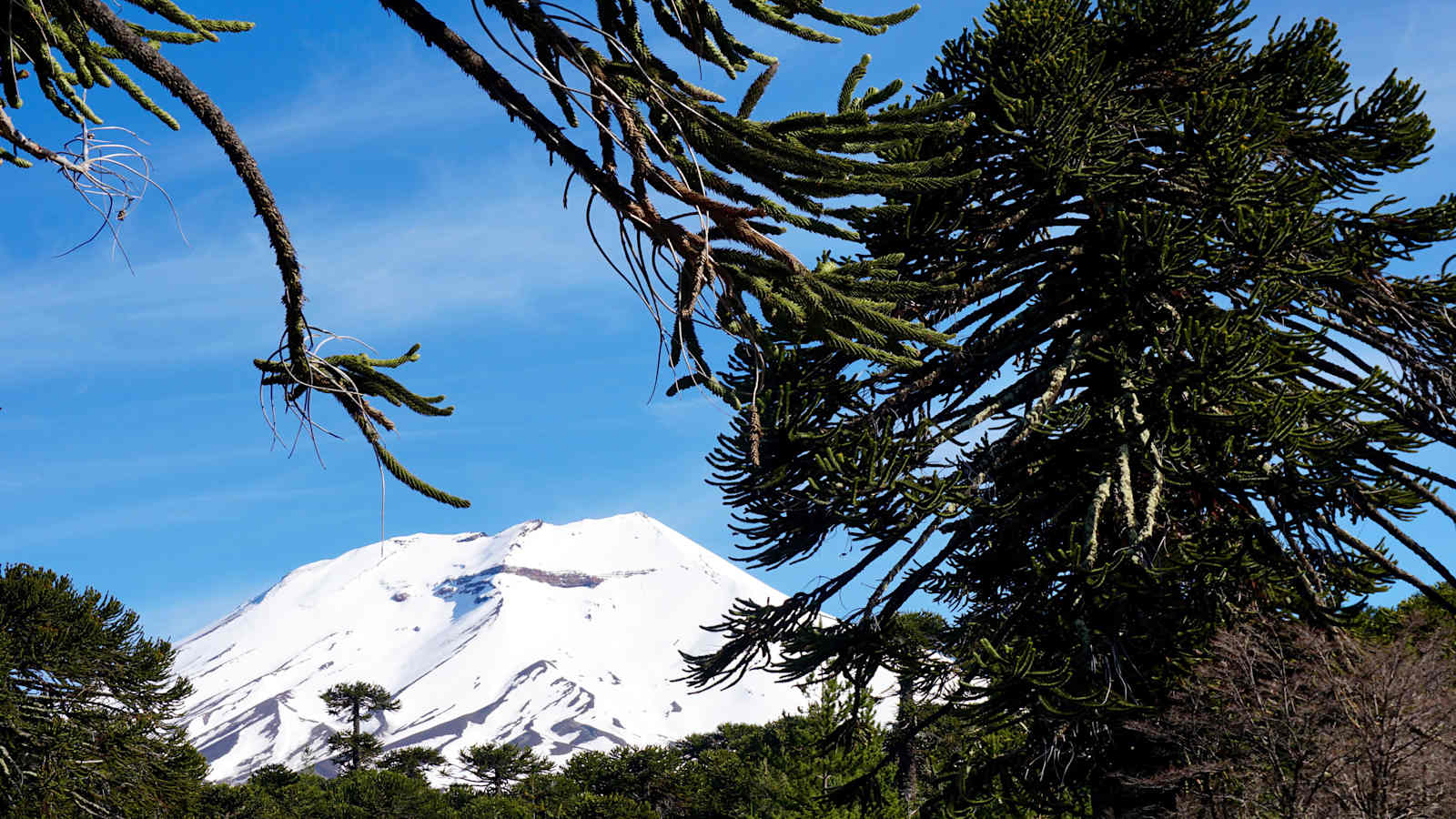 Reise Chile Skitouren