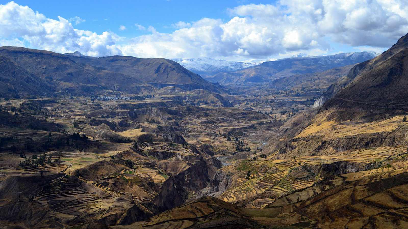 Colca Canyon Peru