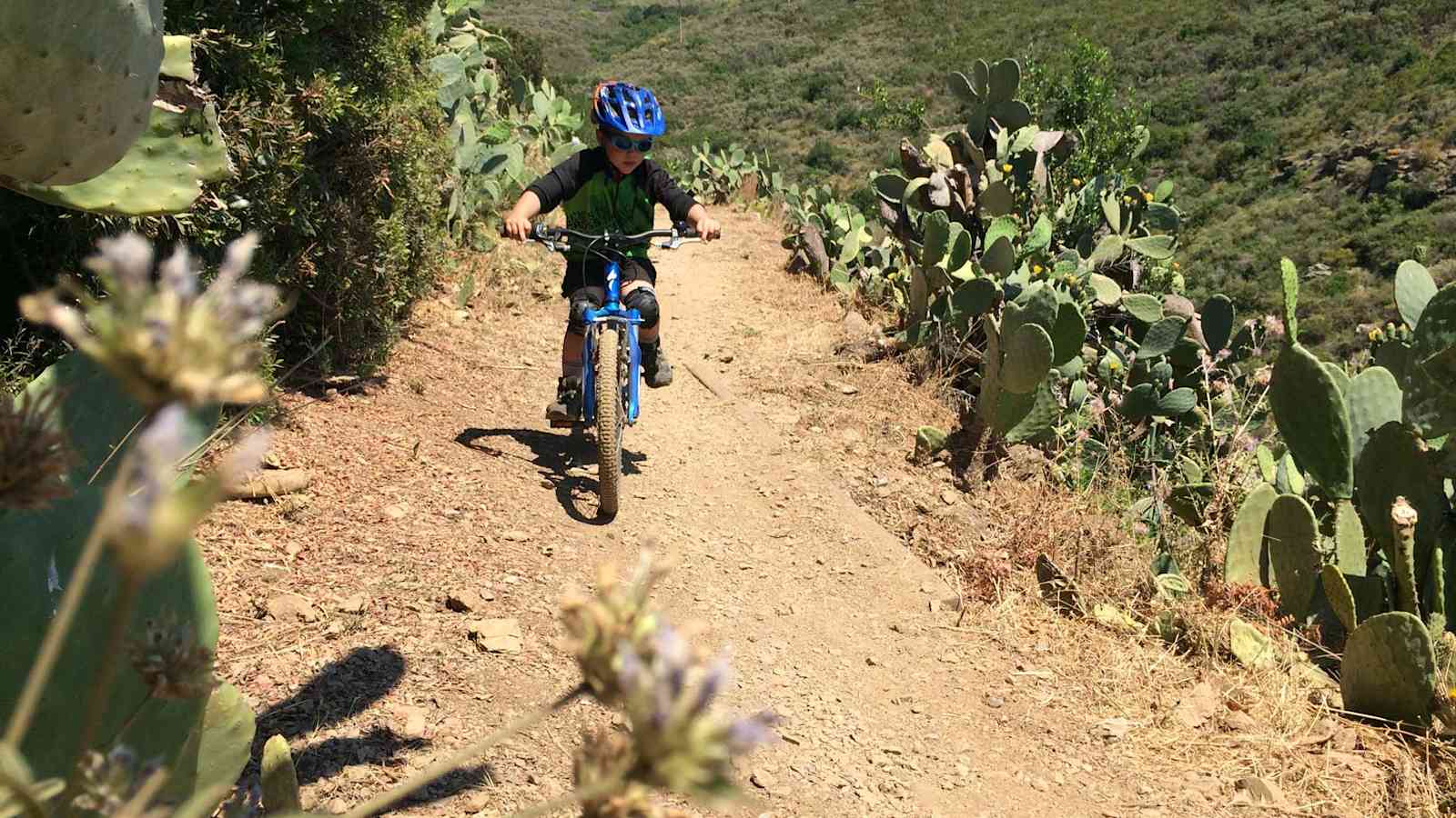 5 Profi-Tipps: Mit Kindern am Mountainbike