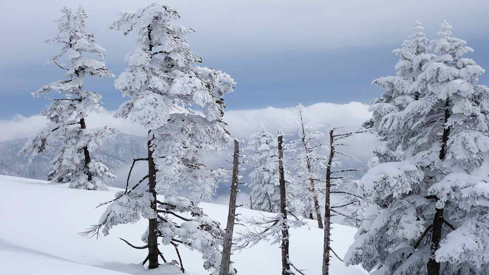 Skifahren in Japan