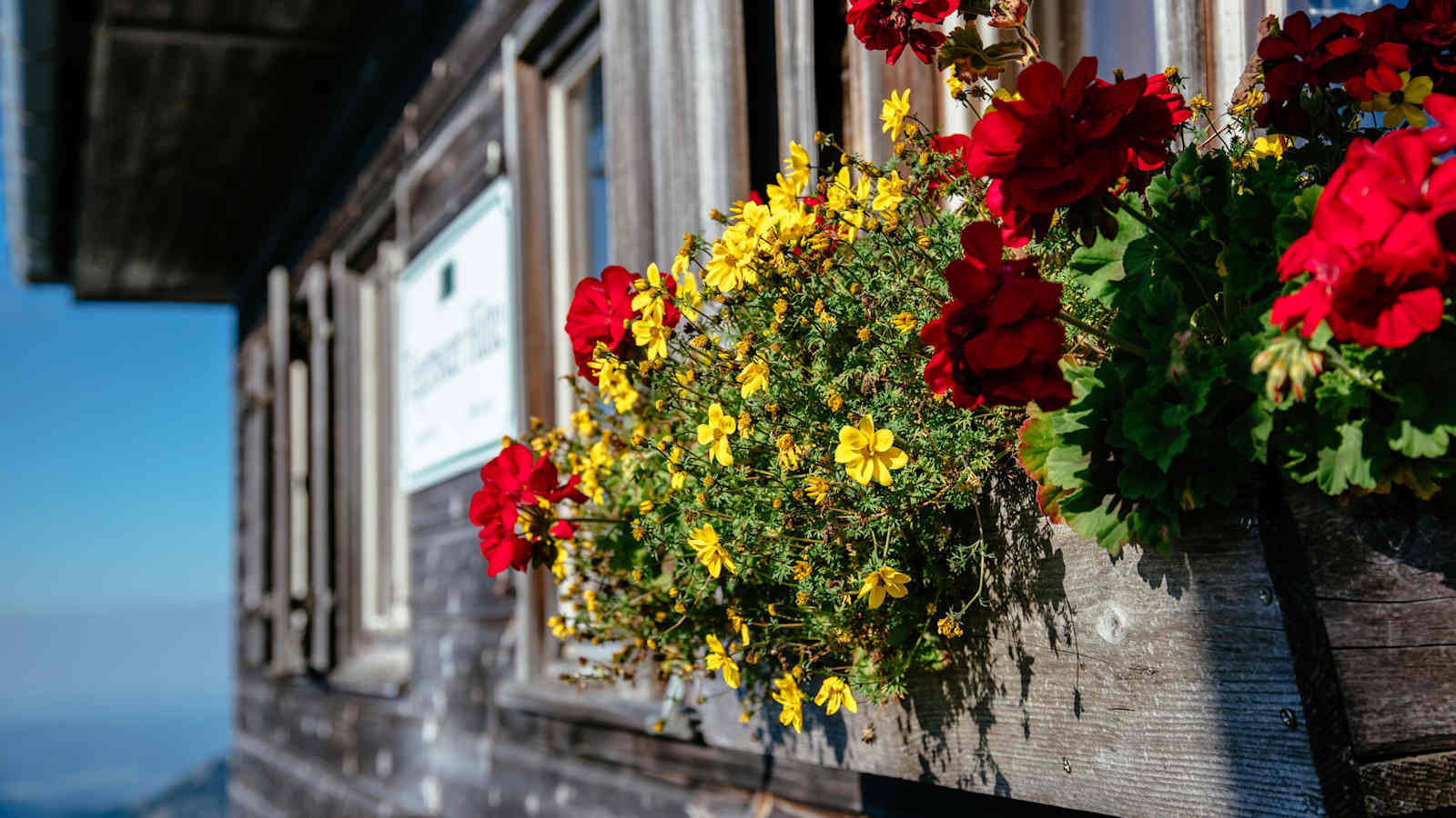 Auf der Hütte warten Blumen an den Fenstern.